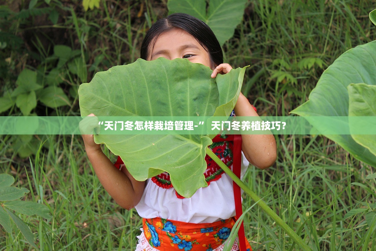 “天门冬怎样栽培管理-” 天门冬养植技巧？