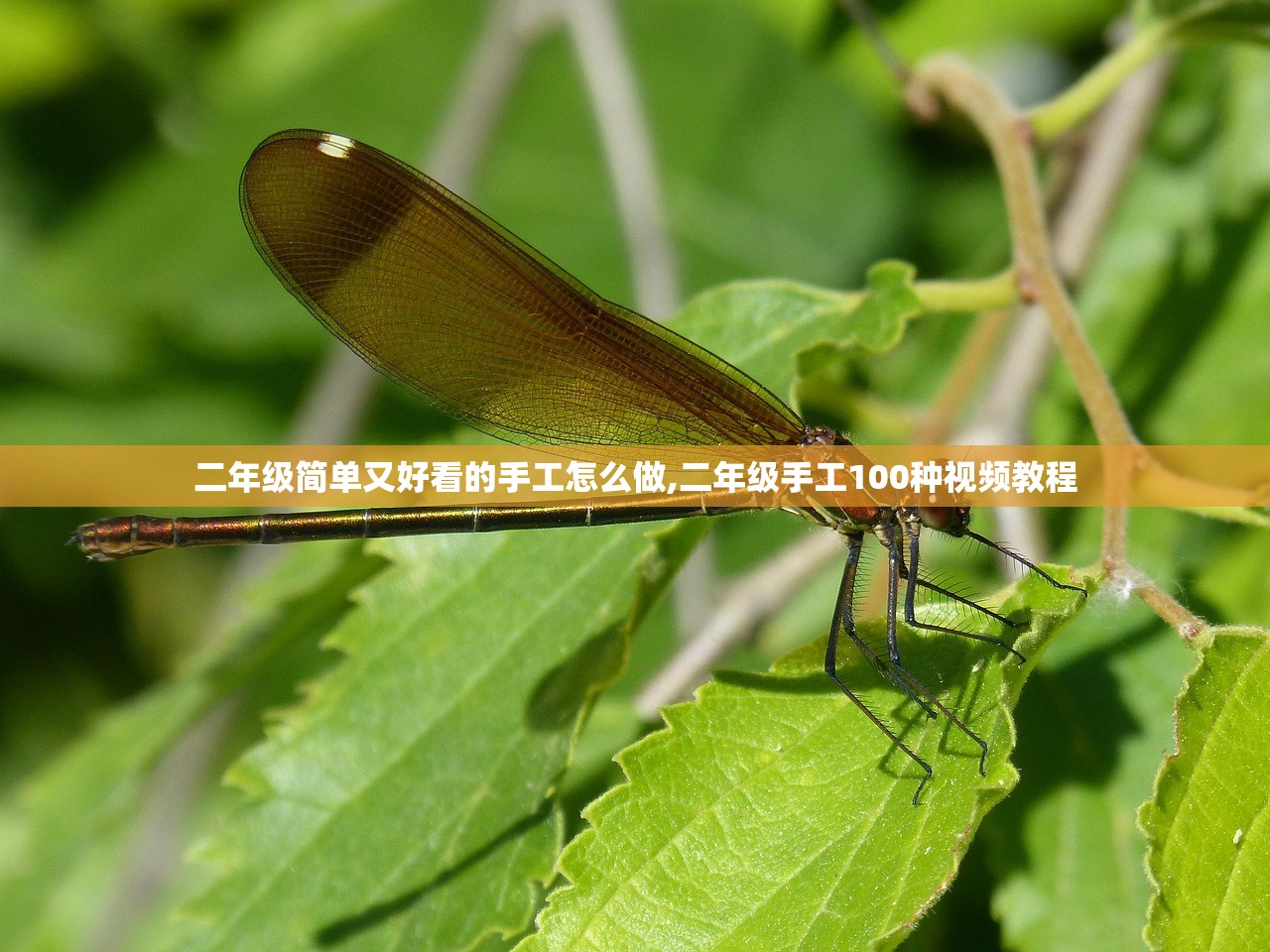 二年级简单又好看的手工怎么做,二年级手工100种视频教程
