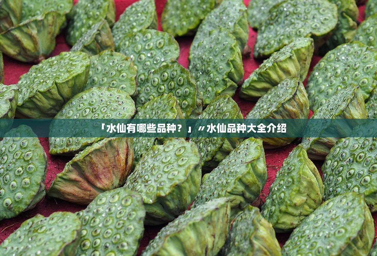 「水仙有哪些品种?」〃水仙品种大全介绍 「水仙有哪些品种?」〃水仙品种大全介绍