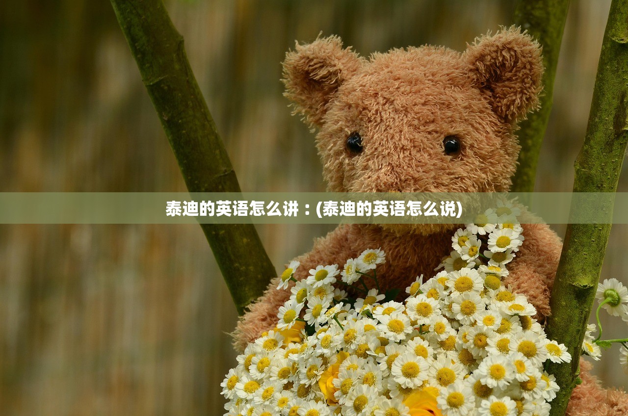 泰迪的英语怎么讲︰(泰迪的英语怎么说) 泰迪的英语怎么讲︰(泰迪的英语怎么说)