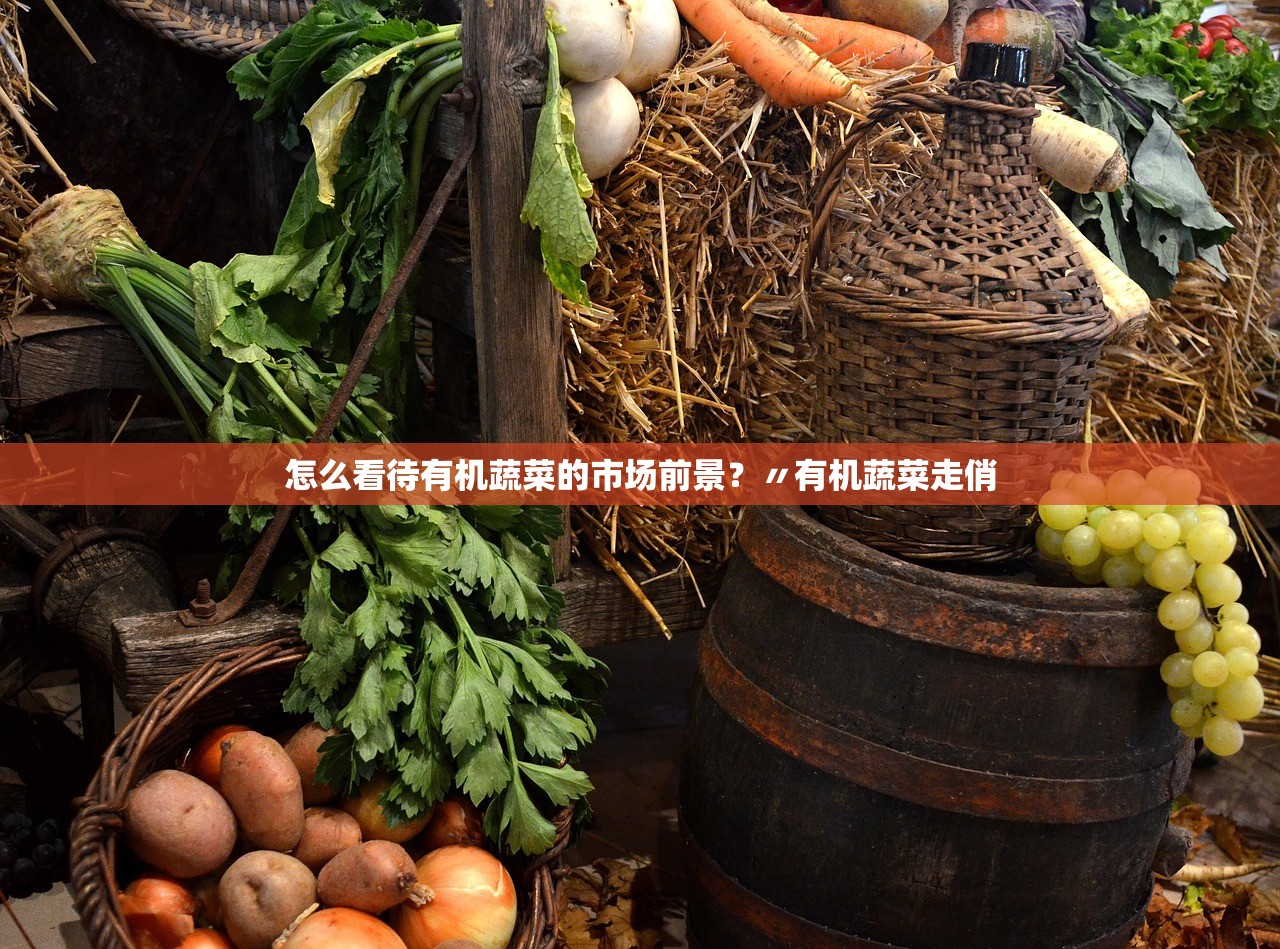 怎么看待有机蔬菜的市场前景?〃有机蔬菜走俏 怎么看待有机蔬菜的市场前景?〃有机蔬菜走俏