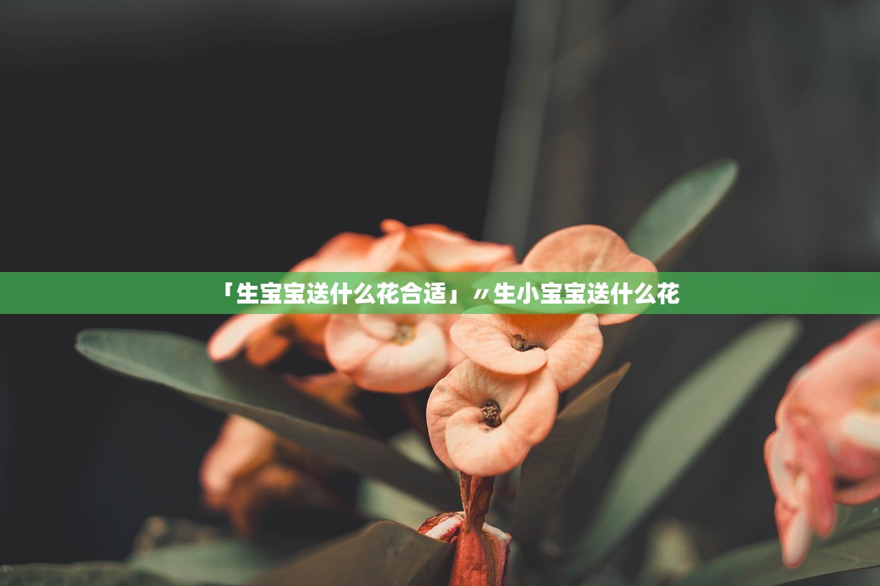 「生宝宝送什么花合适」〃生小宝宝送什么花