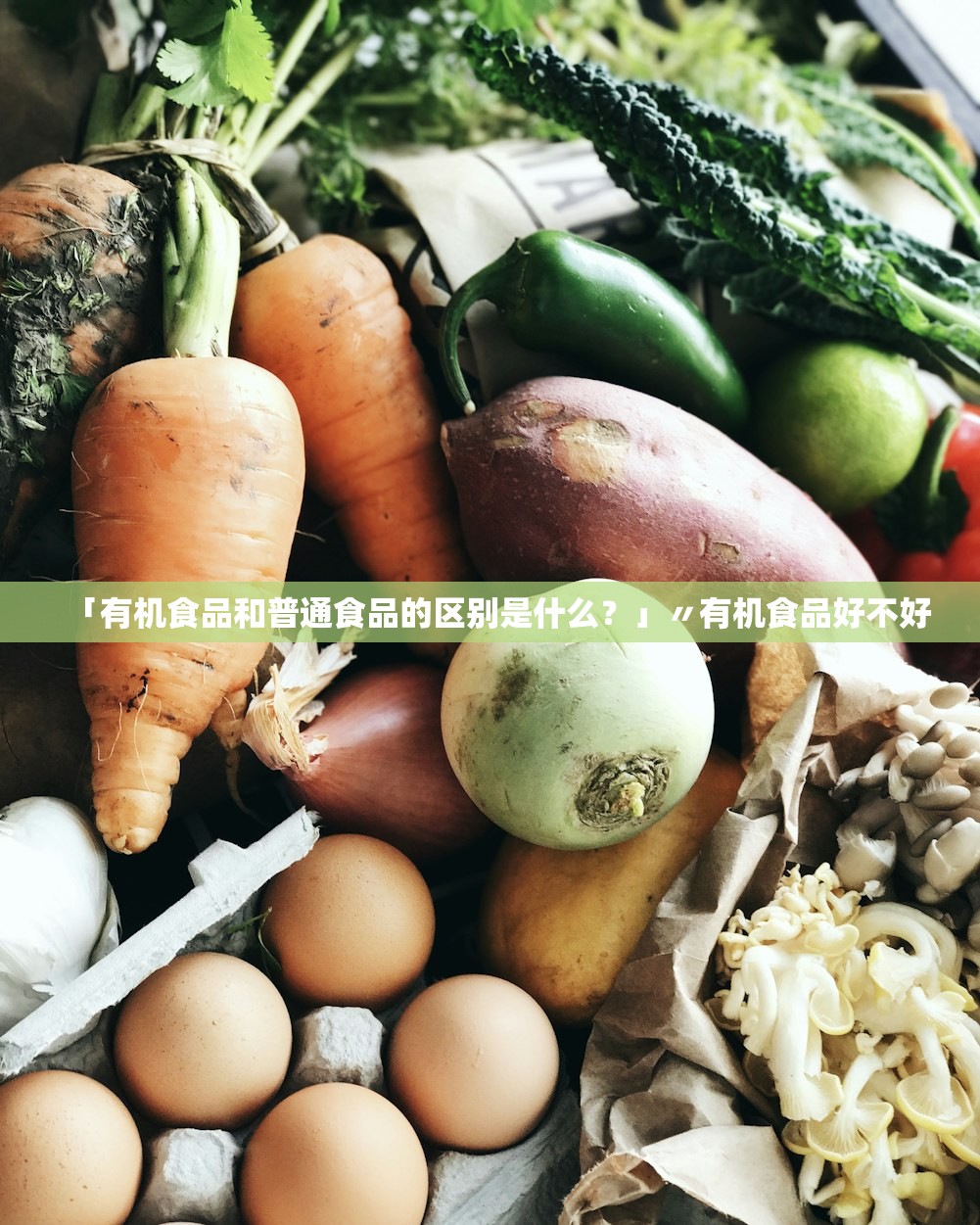 「有机食品和普通食品的区别是什么？」〃有机食品好不好