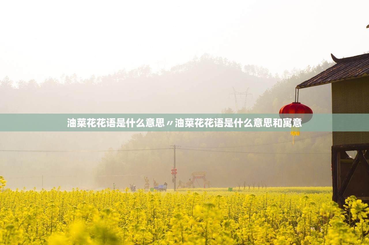 油菜花花语是什么意思〃油菜花花语是什么意思和寓意