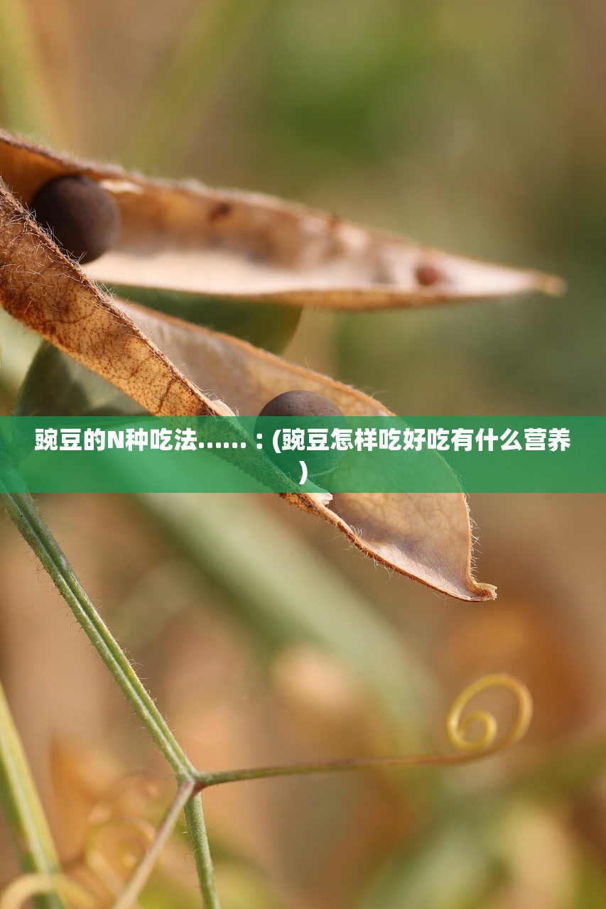 豌豆的N种吃法……︰(豌豆怎样吃好吃有什么营养)