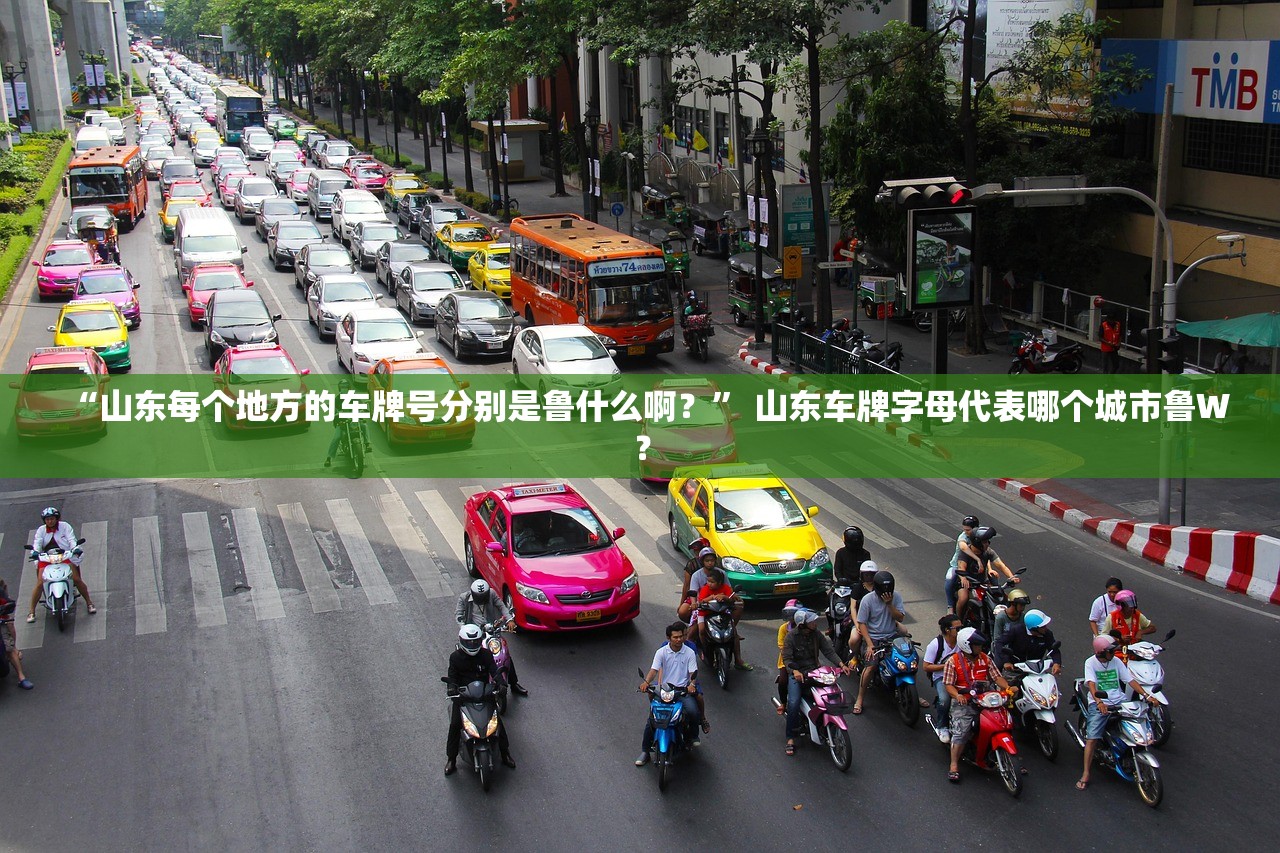 “山东每个地方的车牌号分别是鲁什么啊？” 山东车牌字母代表哪个城市鲁W？