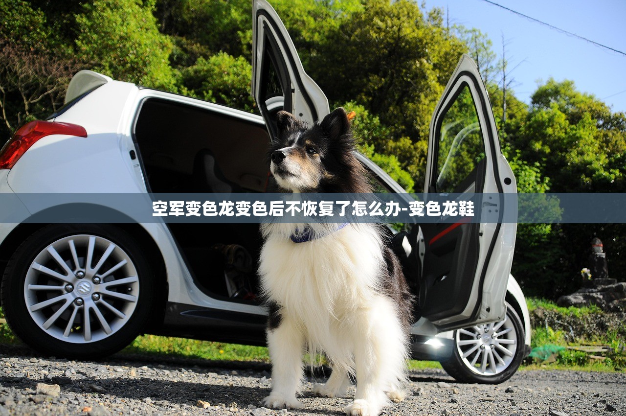 空军变色龙变色后不恢复了怎么办-变色龙鞋