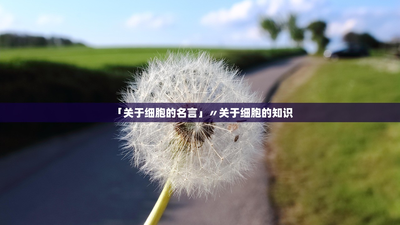 「关于细胞的名言」〃关于细胞的知识