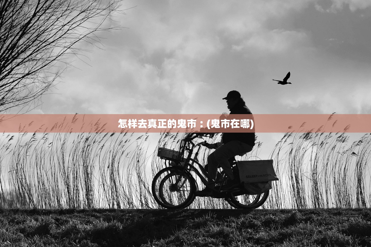 怎样去真正的鬼市︰(鬼市在哪) 怎样去真正的鬼市︰(鬼市在哪)
