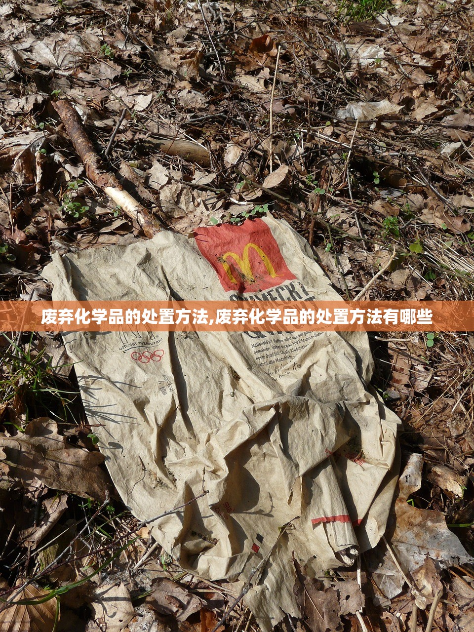 废弃化学品的处置方法,废弃化学品的处置方法有哪些 废弃化学品的处置方法,废弃化学品的处置方法有哪些