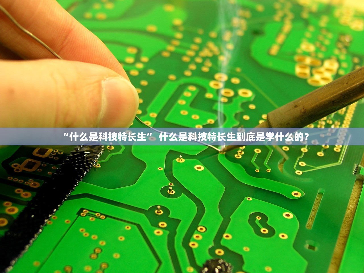 “什么是科技特长生” 什么是科技特长生到底是学什么的？