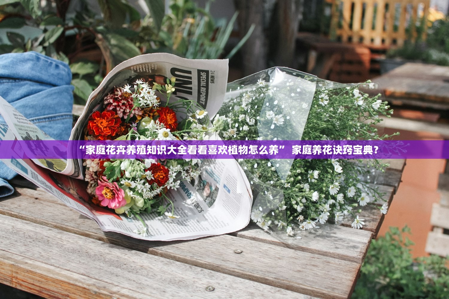“家庭花卉养殖知识大全看看喜欢植物怎么养” 家庭养花诀窍宝典？