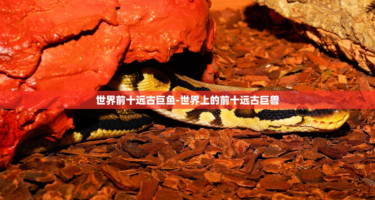 世界前十远古巨鱼-世界上的前十远古巨兽 世界前十远古巨鱼-世界上的前十远古巨兽