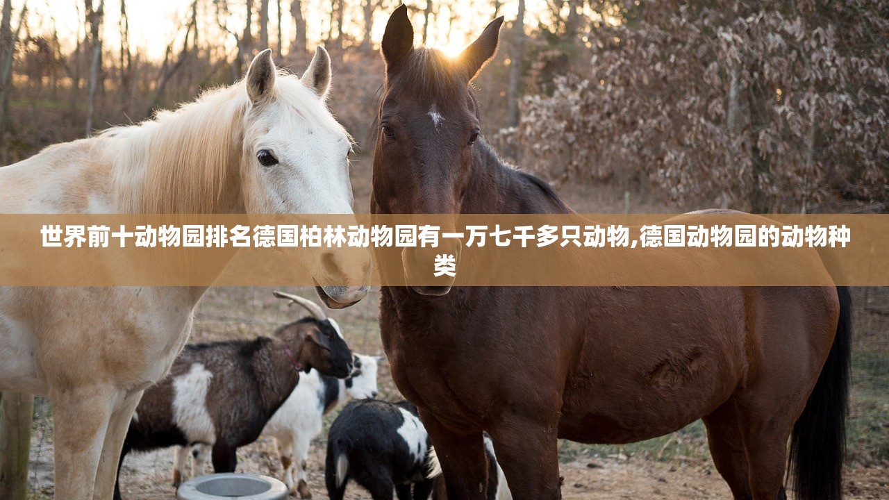 世界前十动物园排名德国柏林动物园有一万七千多只动物,德国动物园的动物种类
