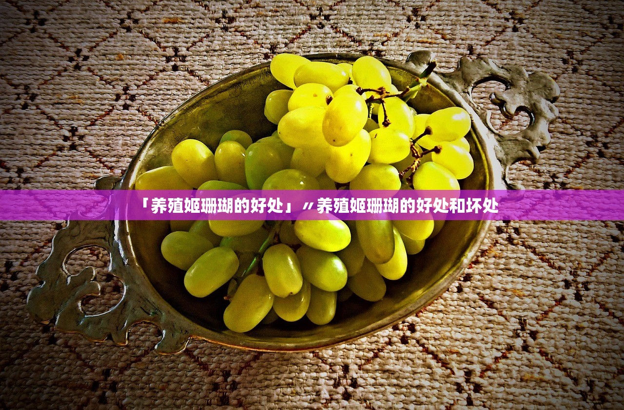 「养殖姬珊瑚的好处」〃养殖姬珊瑚的好处和坏处 「养殖姬珊瑚的好处」〃养殖姬珊瑚的好处和坏处