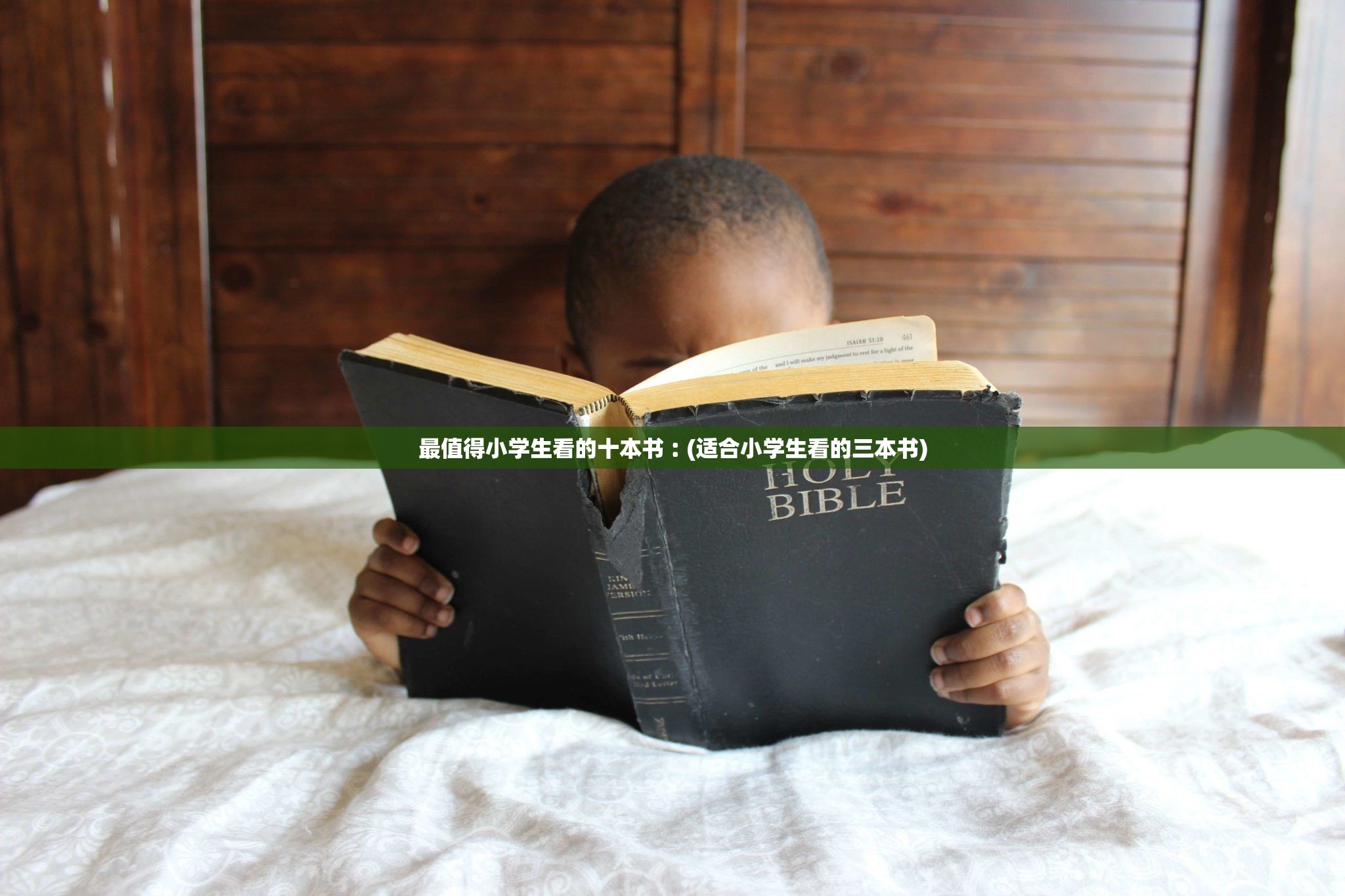 最值得小学生看的十本书︰(适合小学生看的三本书) 最值得小学生看的十本书︰(适合小学生看的三本书)