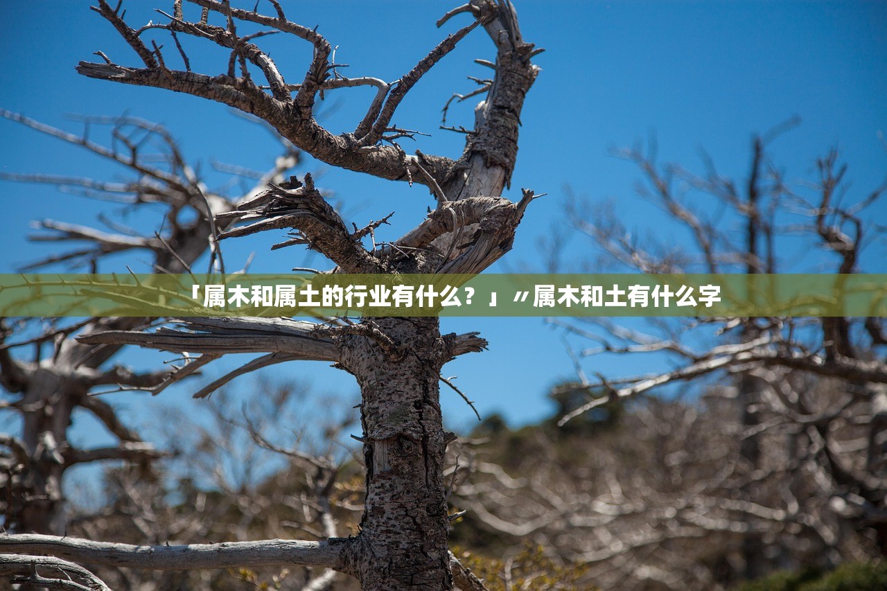 「属木和属土的行业有什么?」〃属木和土有什么字 「属木和属土的行业有什么?」〃属木和土有什么字