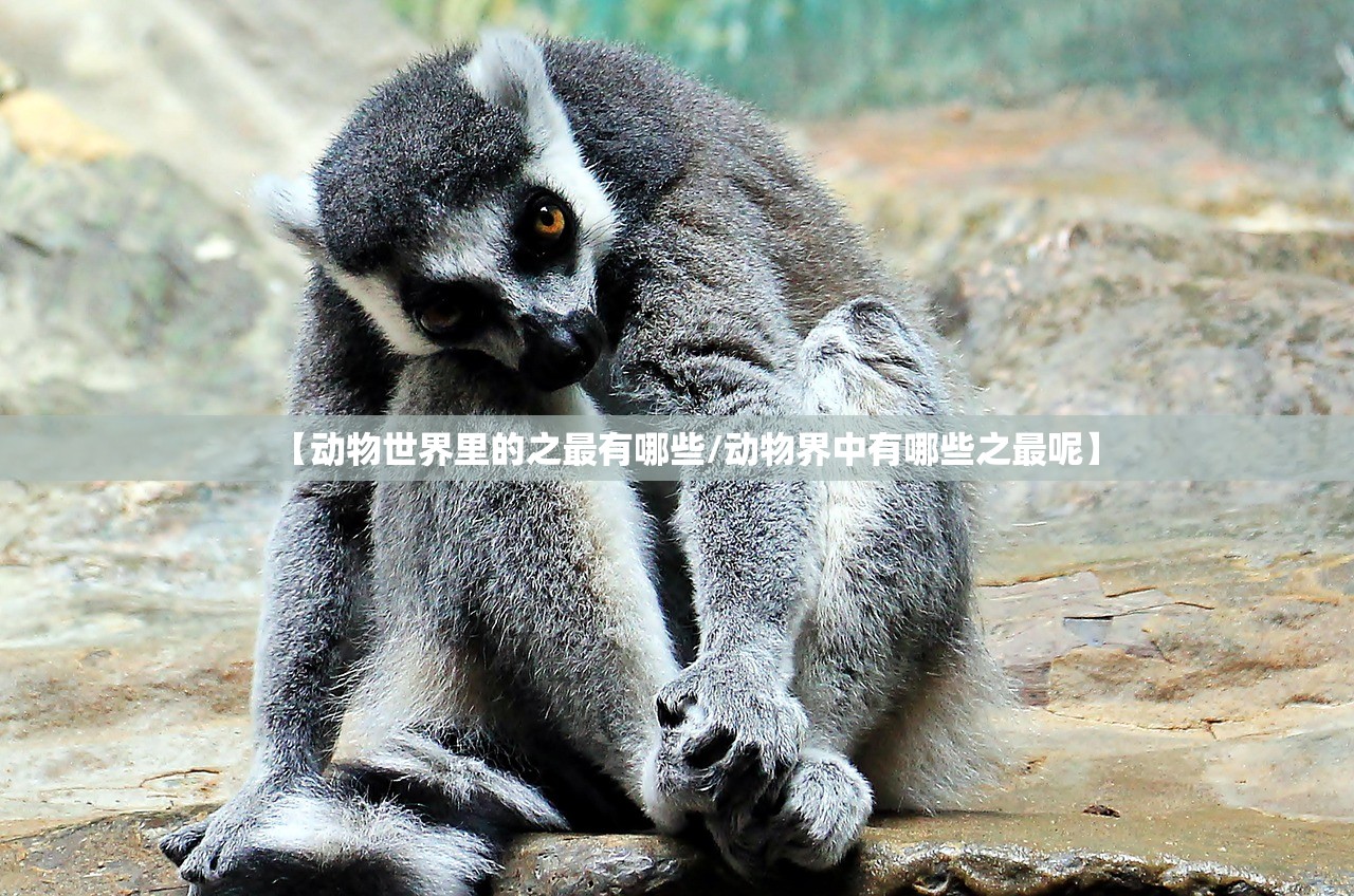 【动物世界里的之最有哪些/动物界中有哪些之最呢】 【动物世界里的之最有哪些/动物界中有哪些之最呢】