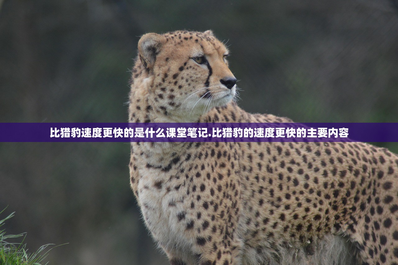 比猎豹速度更快的是什么课堂笔记.比猎豹的速度更快的主要内容
