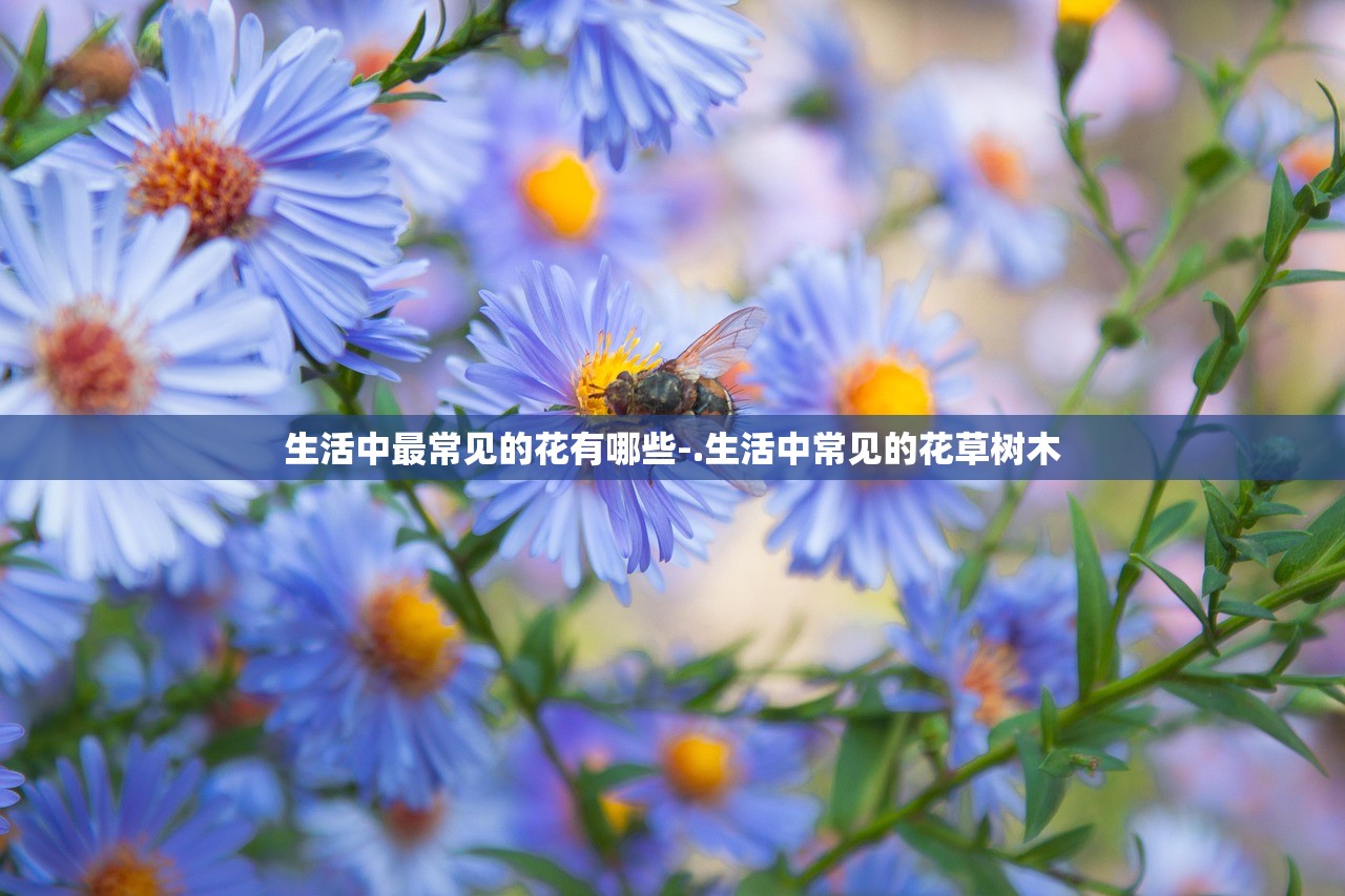 生活中最常见的花有哪些-.生活中常见的花草树木 生活中最常见的花有哪些-.生活中常见的花草树木