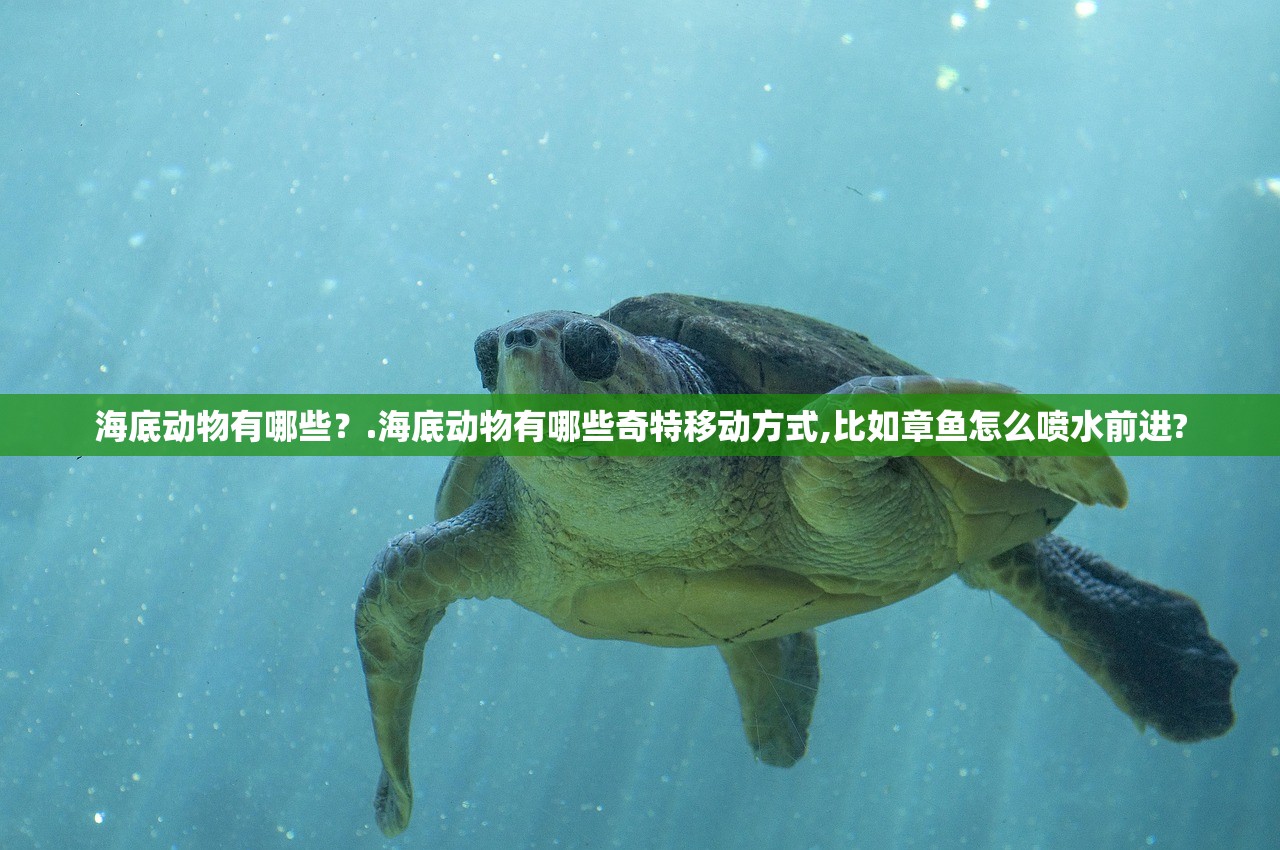 海底动物有哪些？.海底动物有哪些奇特移动方式,比如章鱼怎么喷水前进?