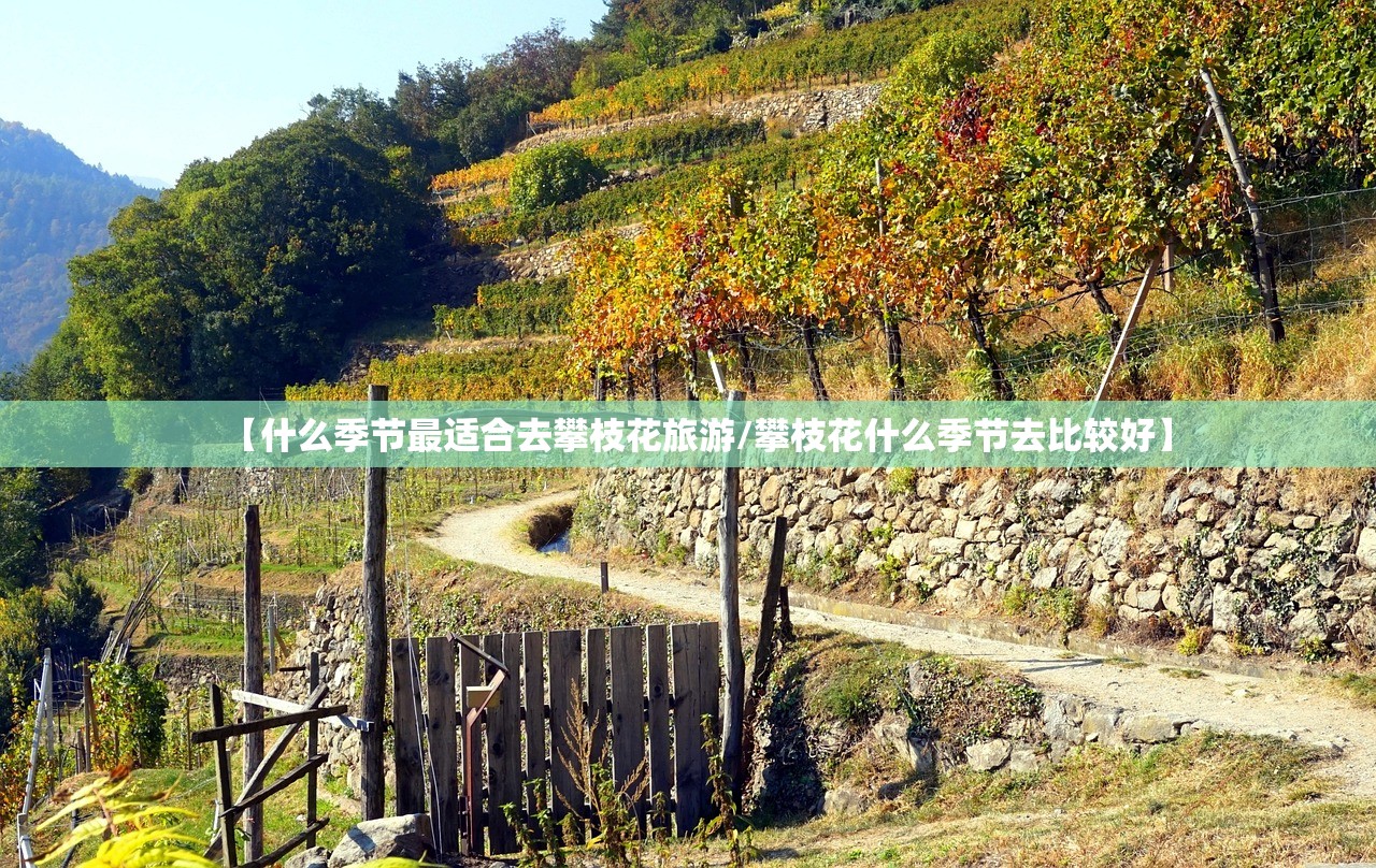 【什么季节最适合去攀枝花旅游/攀枝花什么季节去比较好】