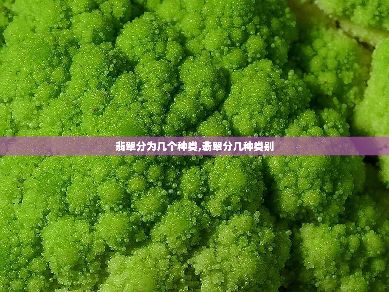 翡翠分为几个种类,翡翠分几种类别 翡翠分为几个种类,翡翠分几种类别