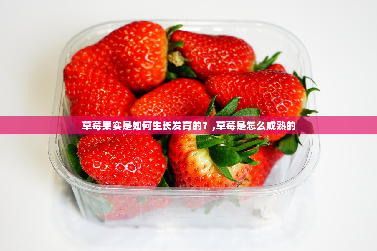 草莓果实是如何生长发育的？,草莓是怎么成熟的