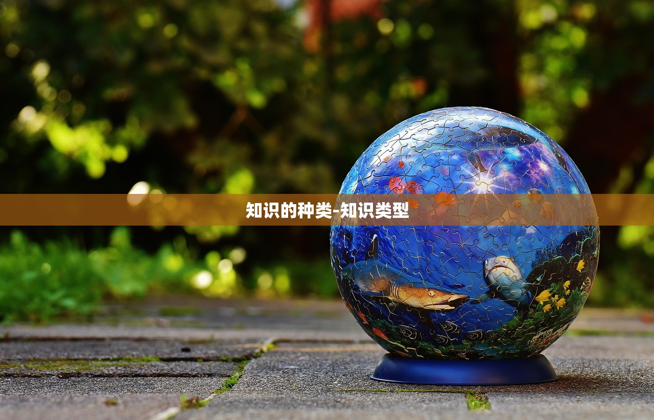 知识的种类-知识类型