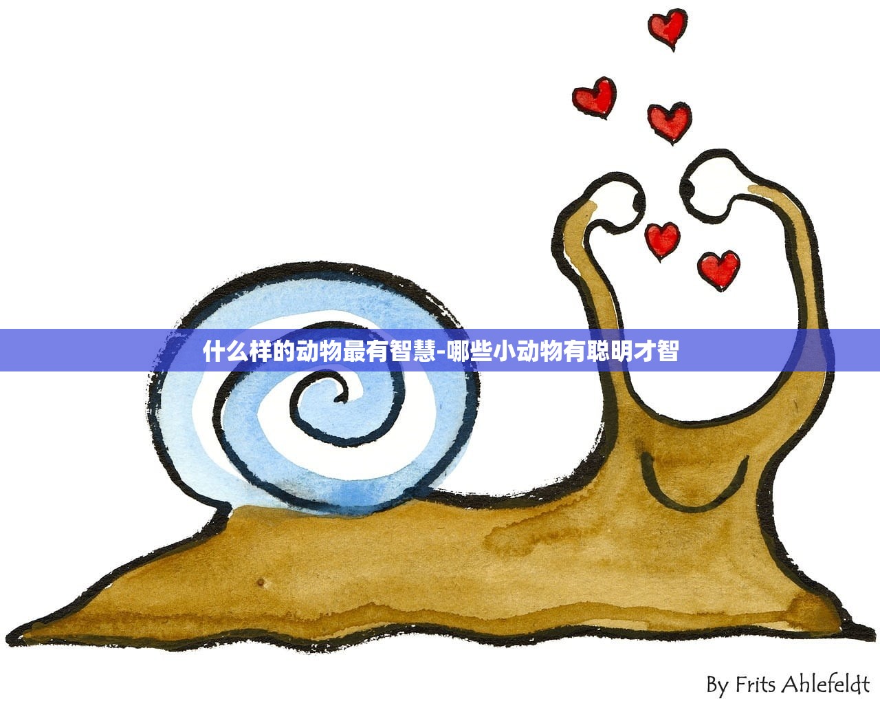 什么样的动物最有智慧-哪些小动物有聪明才智