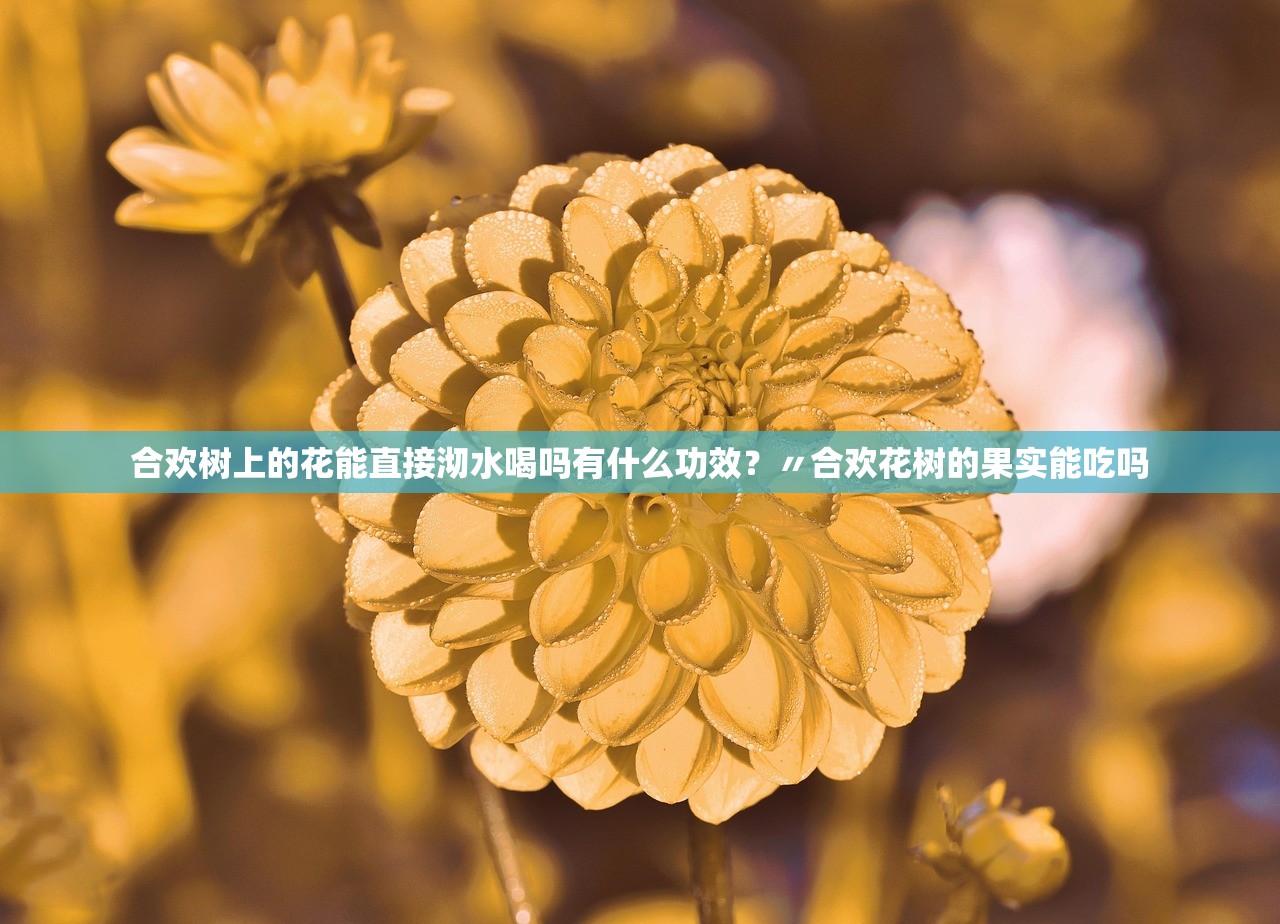 合欢树上的花能直接沏水喝吗有什么功效？〃合欢花树的果实能吃吗