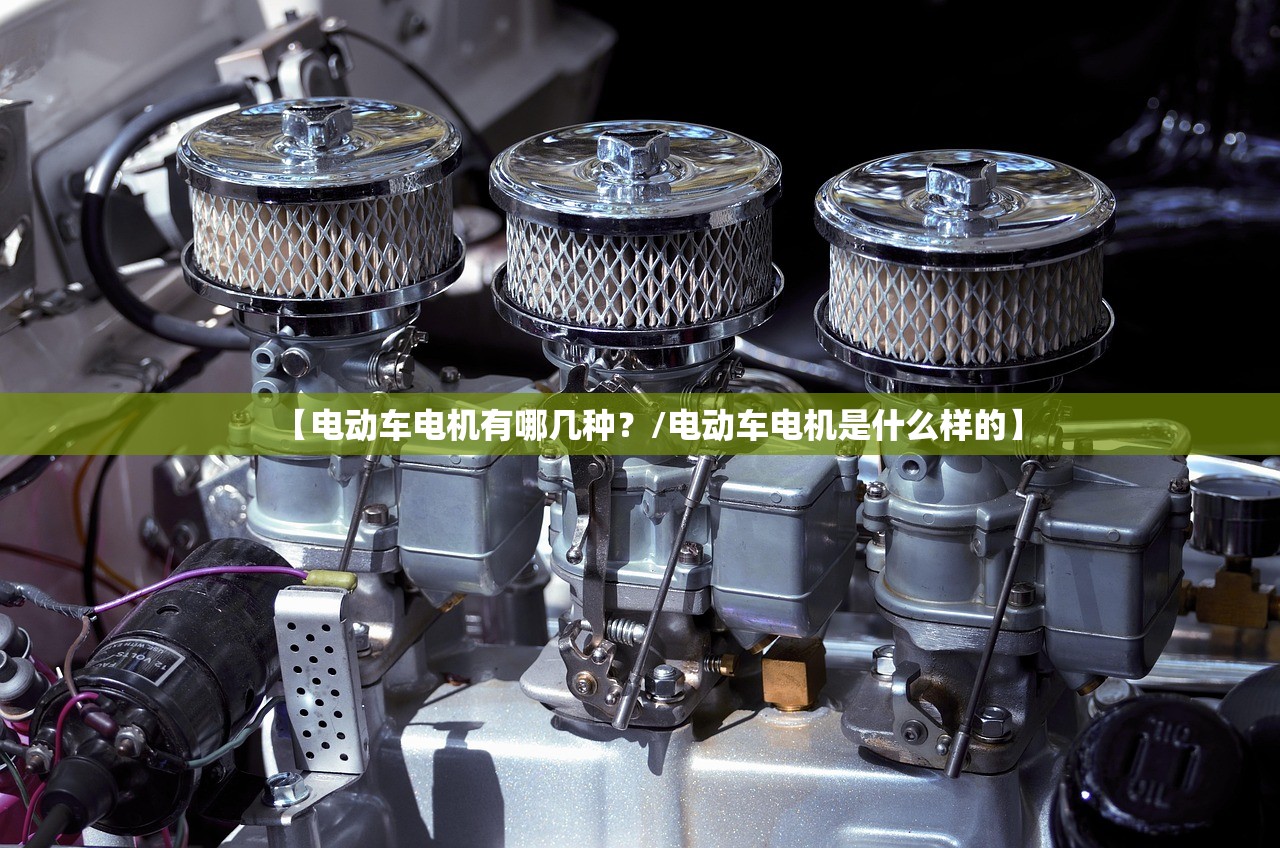 【电动车电机有哪几种?/电动车电机是什么样的】 【电动车电机有哪几种?/电动车电机是什么样的】