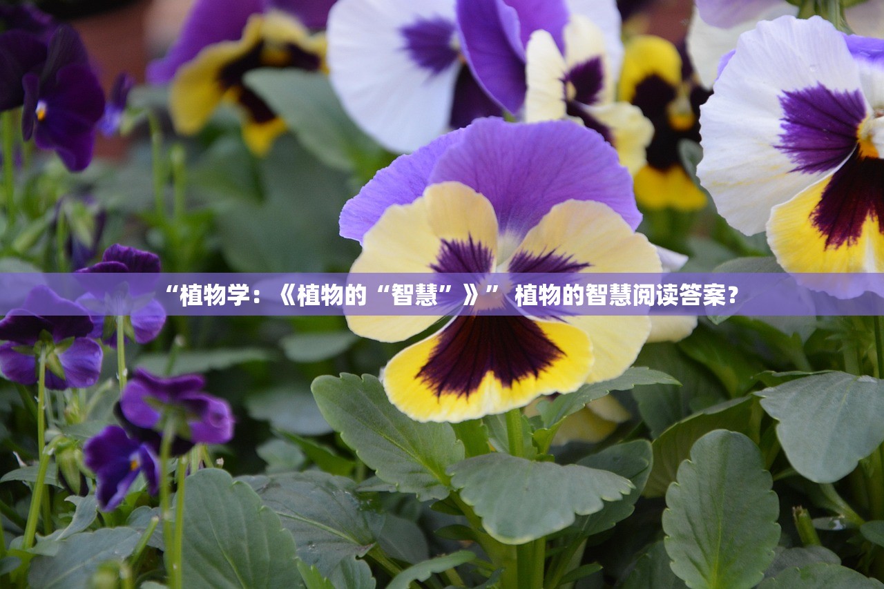 “植物学：《植物的“智慧”》” 植物的智慧阅读答案？