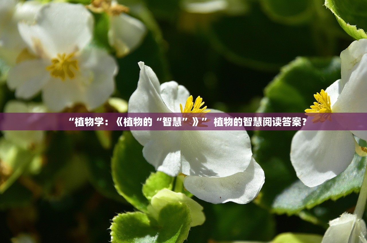 “植物学：《植物的“智慧	”》” 植物的智慧阅读答案？