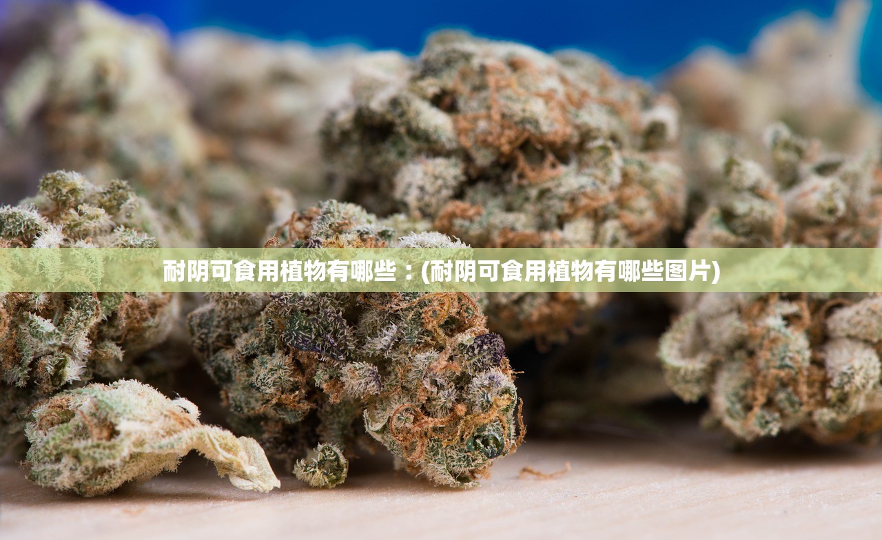耐阴可食用植物有哪些︰(耐阴可食用植物有哪些图片) 耐阴可食用植物有哪些︰(耐阴可食用植物有哪些图片)