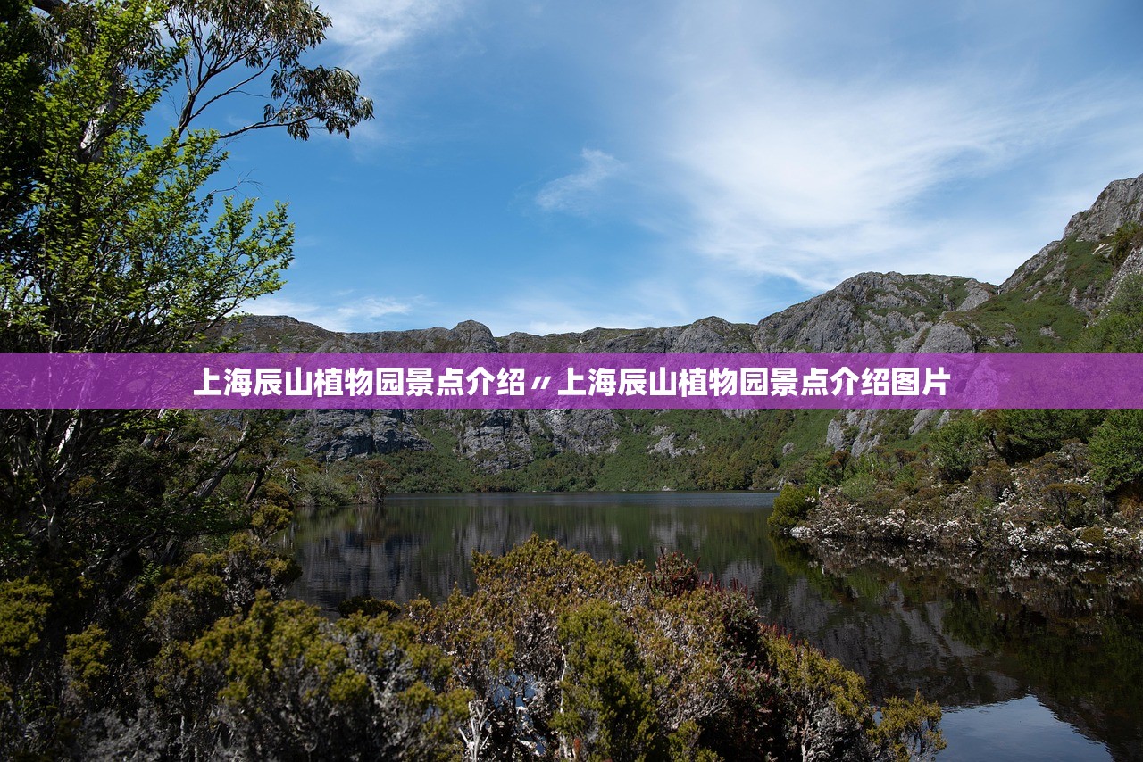 上海辰山植物园景点介绍〃上海辰山植物园景点介绍图片