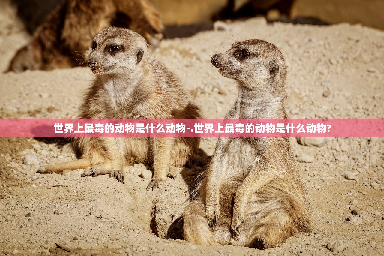 世界上最毒的动物是什么动物-.世界上最毒的动物是什么动物? 世界上最毒的动物是什么动物-.世界上最毒的动物是什么动物?