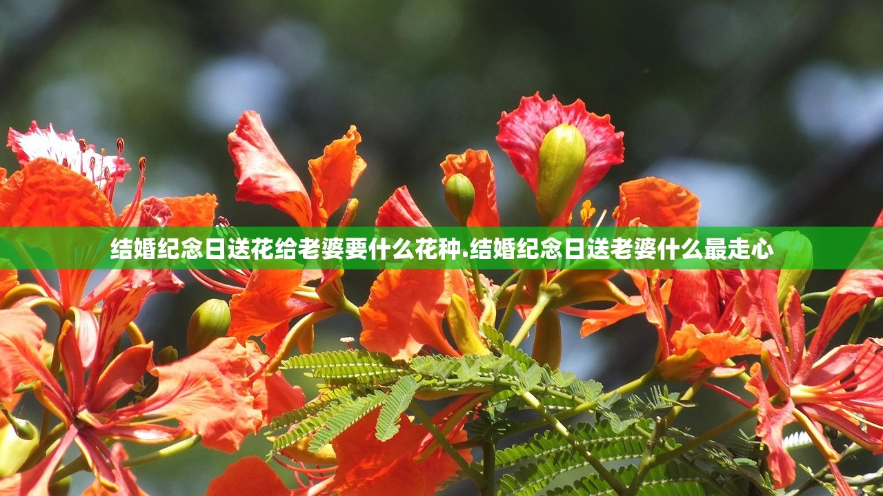 结婚纪念日送花给老婆要什么花种.结婚纪念日送老婆什么最走心 结婚纪念日送花给老婆要什么花种.结婚纪念日送老婆什么最走心