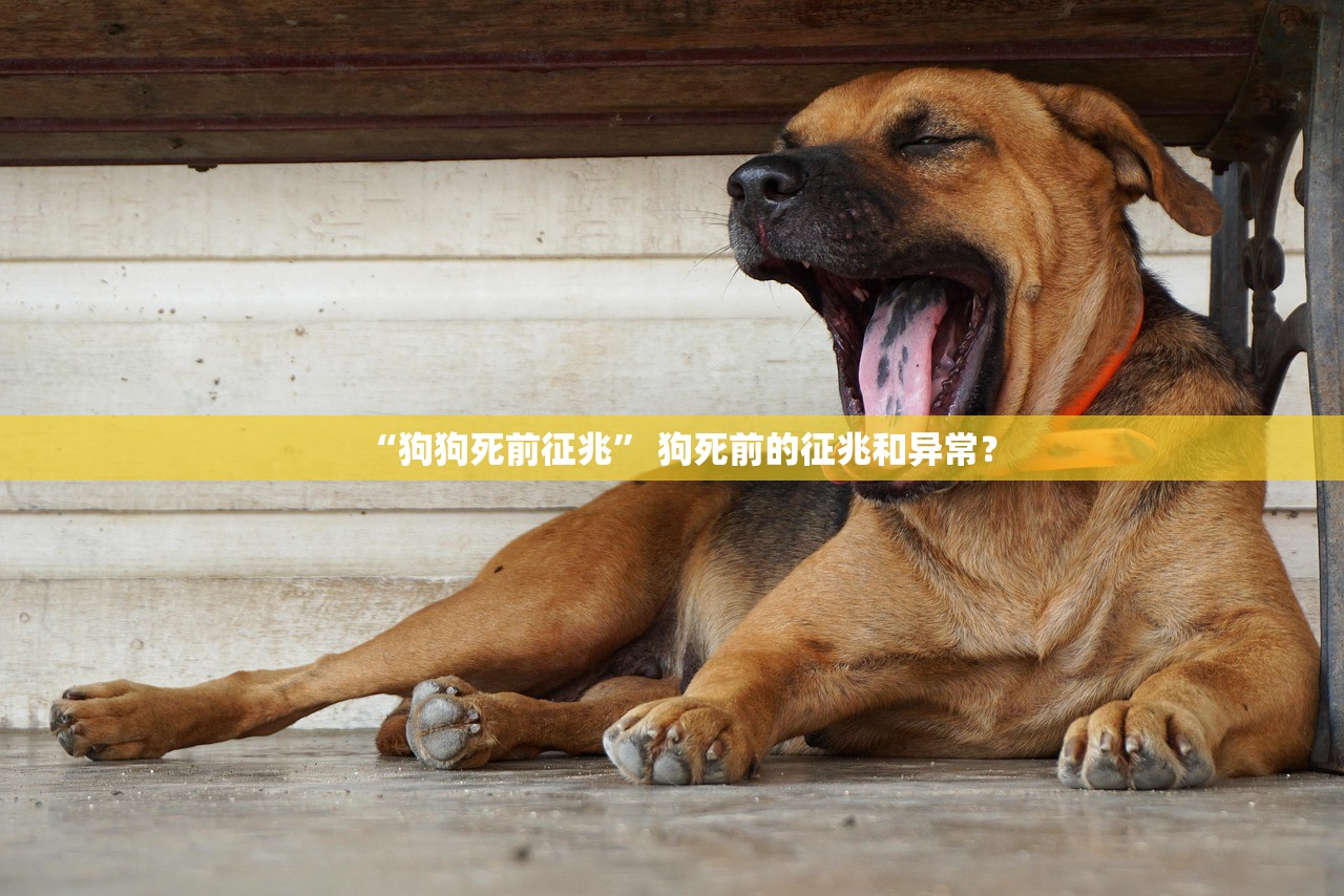 “狗狗死前征兆” 狗死前的征兆和异常？