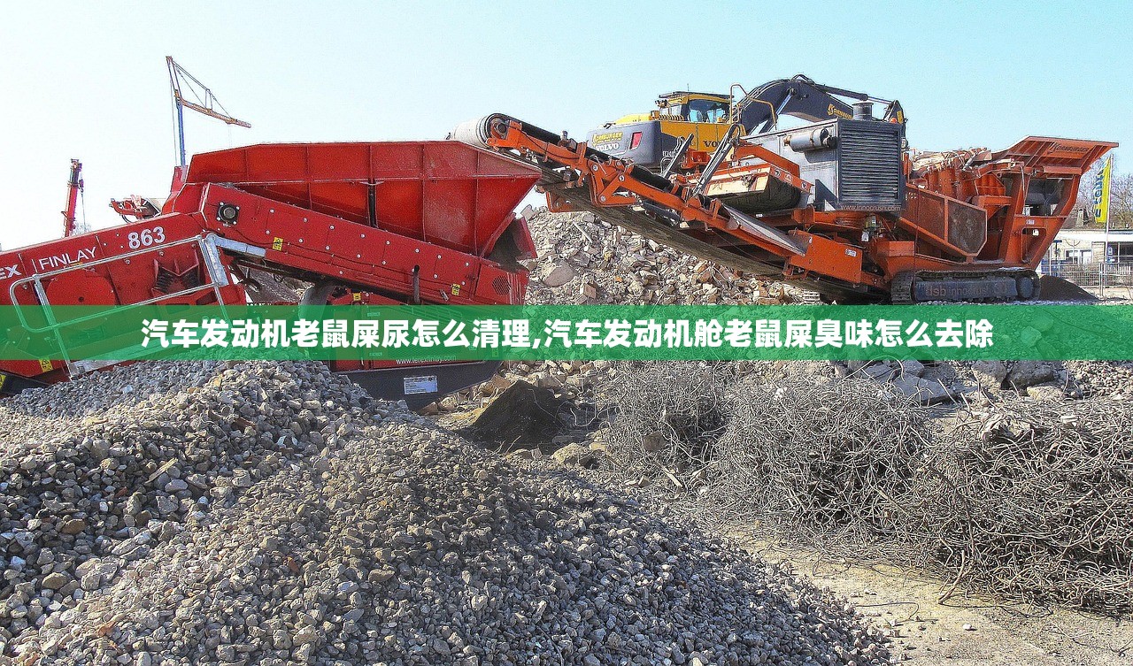 汽车发动机老鼠屎尿怎么清理,汽车发动机舱老鼠屎臭味怎么去除 汽车发动机老鼠屎尿怎么清理,汽车发动机舱老鼠屎臭味怎么去除