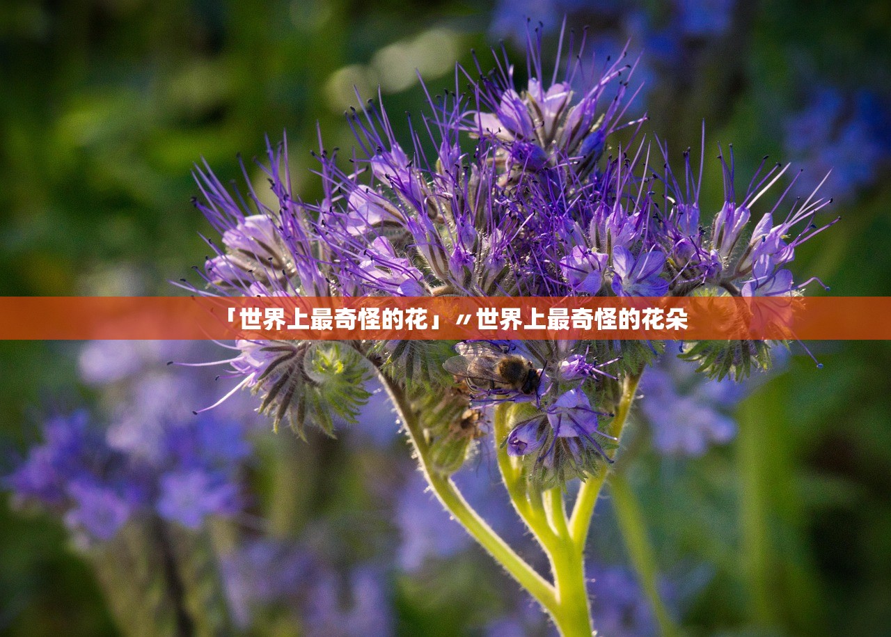 「世界上最奇怪的花」〃世界上最奇怪的花朵 「世界上最奇怪的花」〃世界上最奇怪的花朵