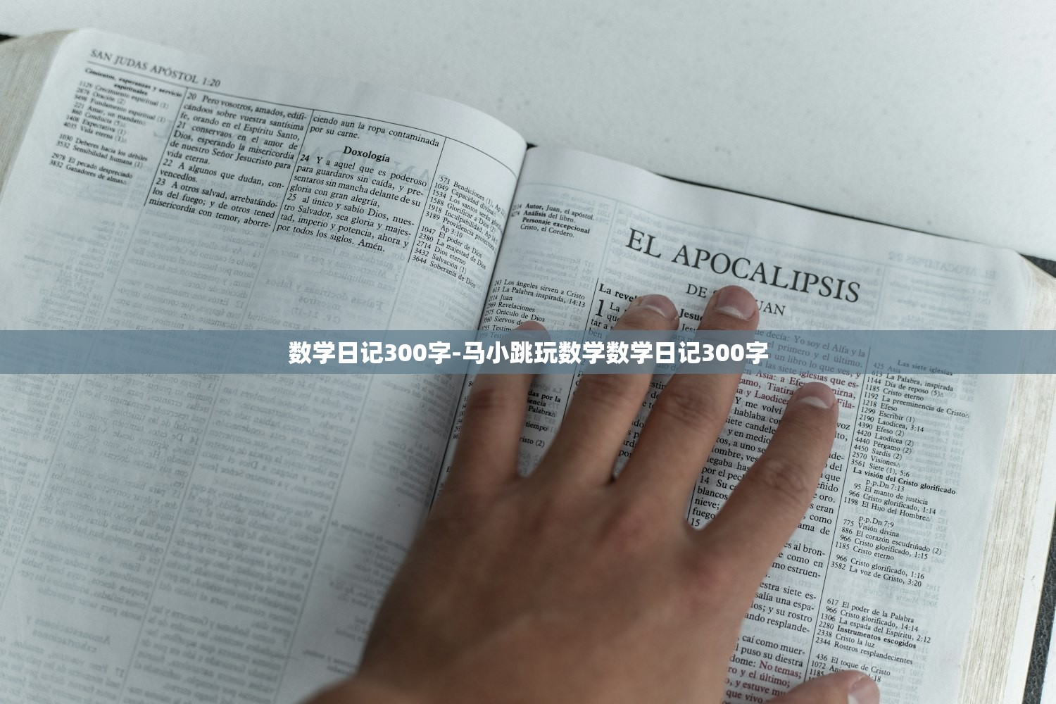 数学日记300字-马小跳玩数学数学日记300字