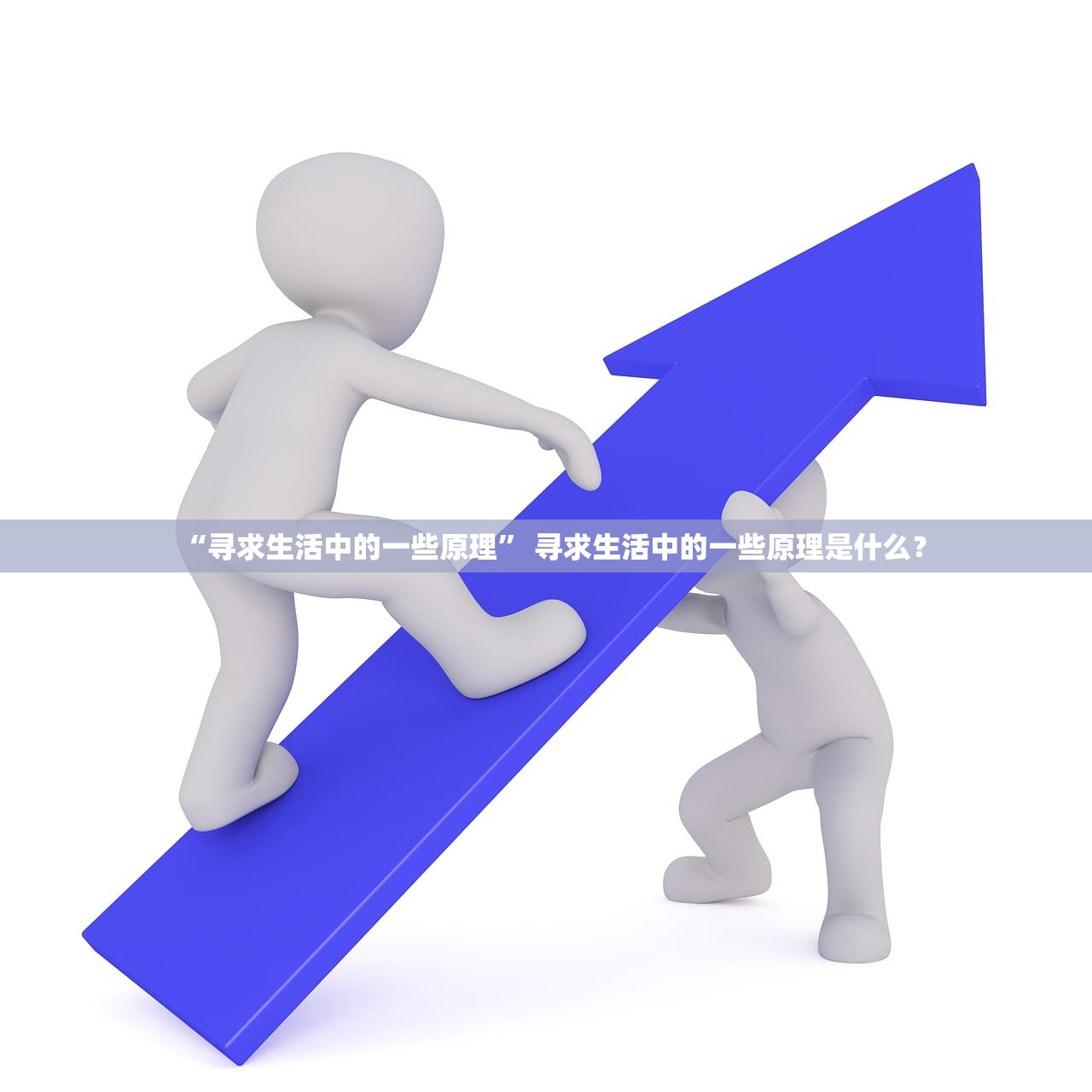 “寻求生活中的一些原理” 寻求生活中的一些原理是什么？