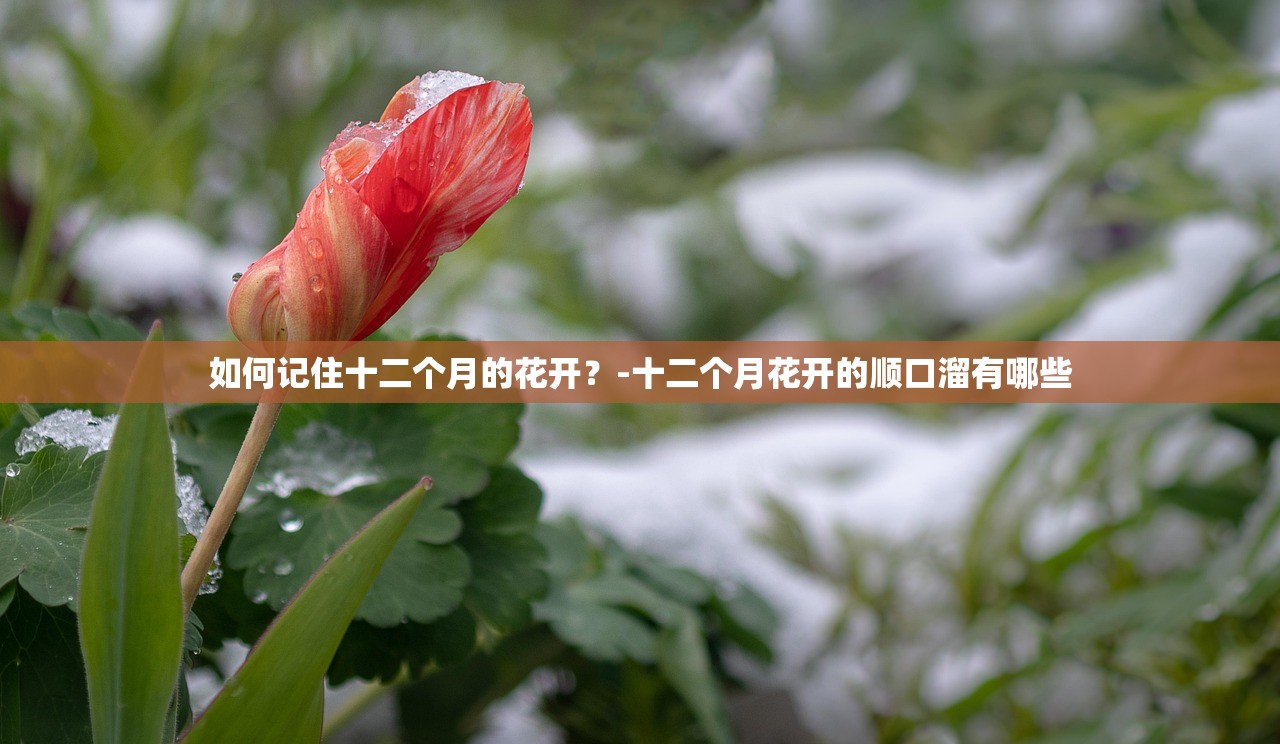 如何记住十二个月的花开？-十二个月花开的顺口溜有哪些