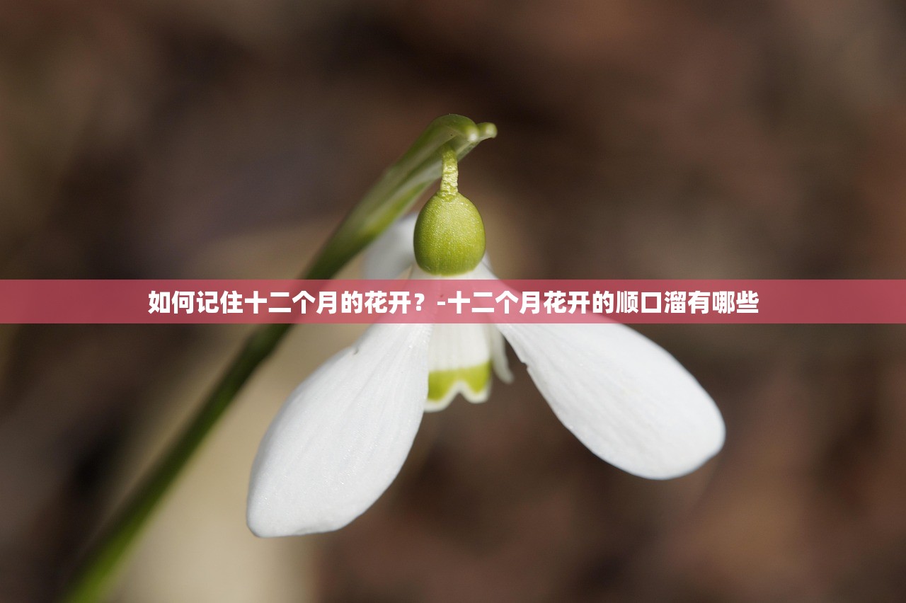 如何记住十二个月的花开？-十二个月花开的顺口溜有哪些