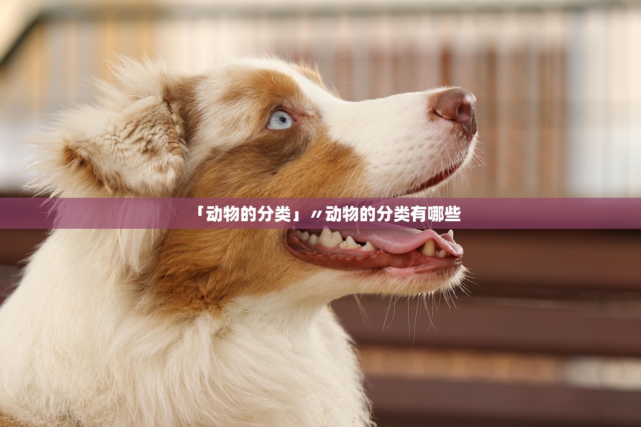 「动物的分类」〃动物的分类有哪些 「动物的分类」〃动物的分类有哪些