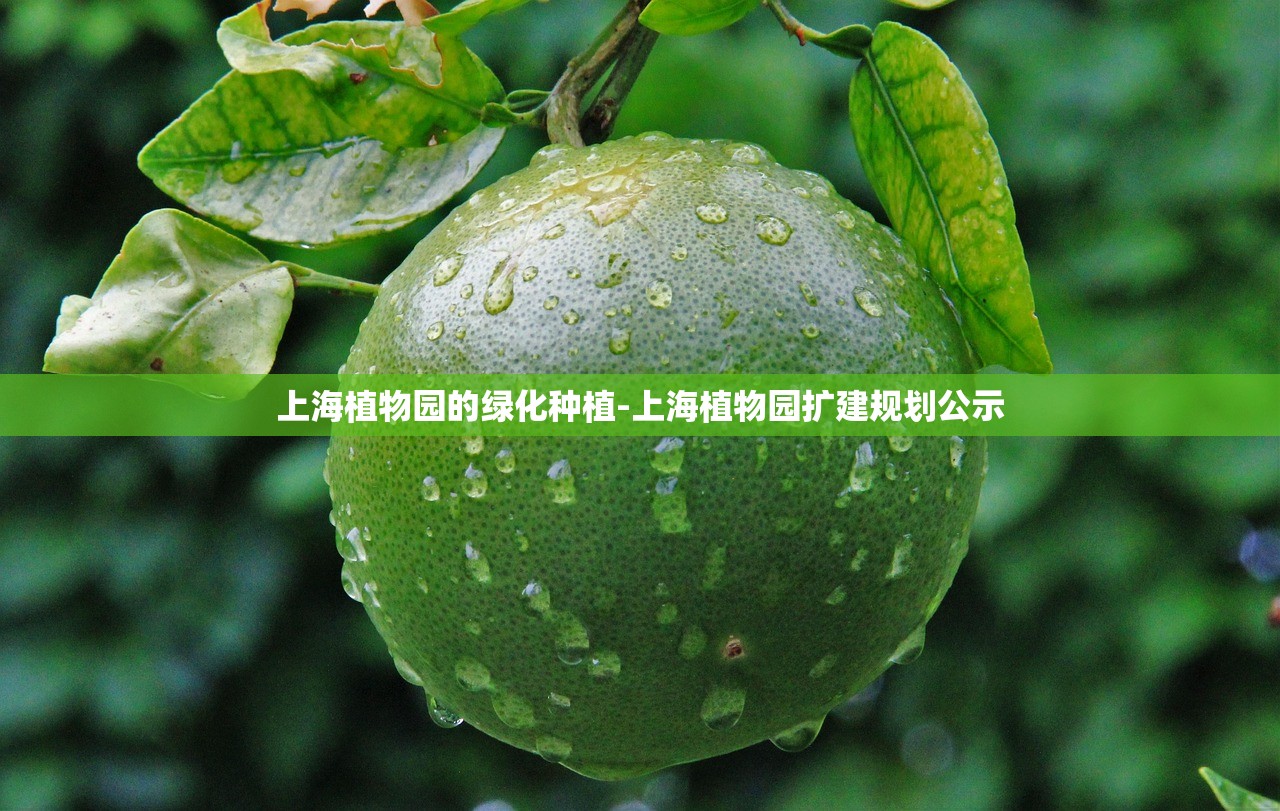 上海植物园的绿化种植-上海植物园扩建规划公示 上海植物园的绿化种植-上海植物园扩建规划公示