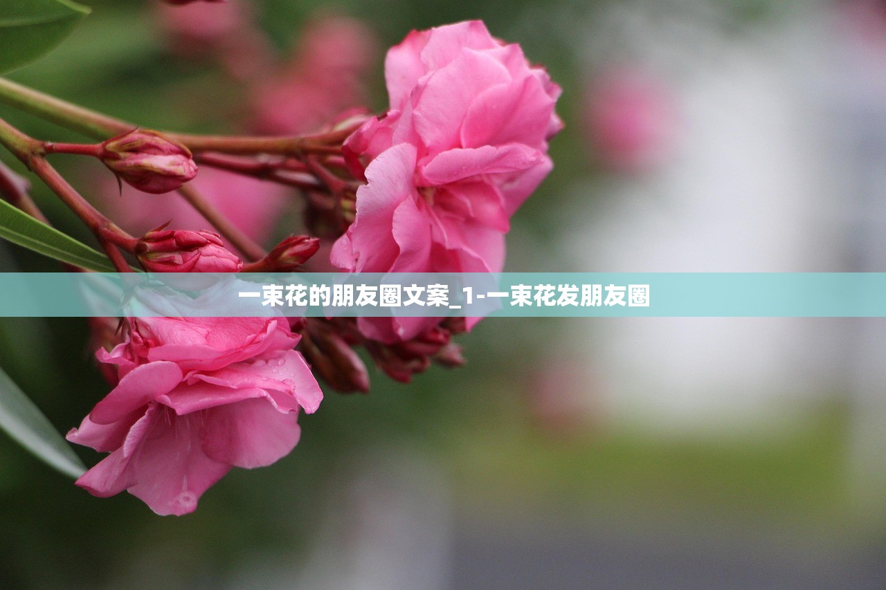 一束花的朋友圈文案_1-一束花发朋友圈 一束花的朋友圈文案_1-一束花发朋友圈