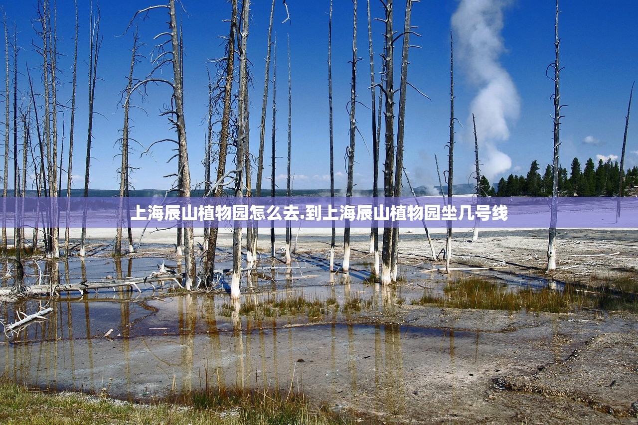 上海辰山植物园怎么去.到上海辰山植物园坐几号线 上海辰山植物园怎么去.到上海辰山植物园坐几号线