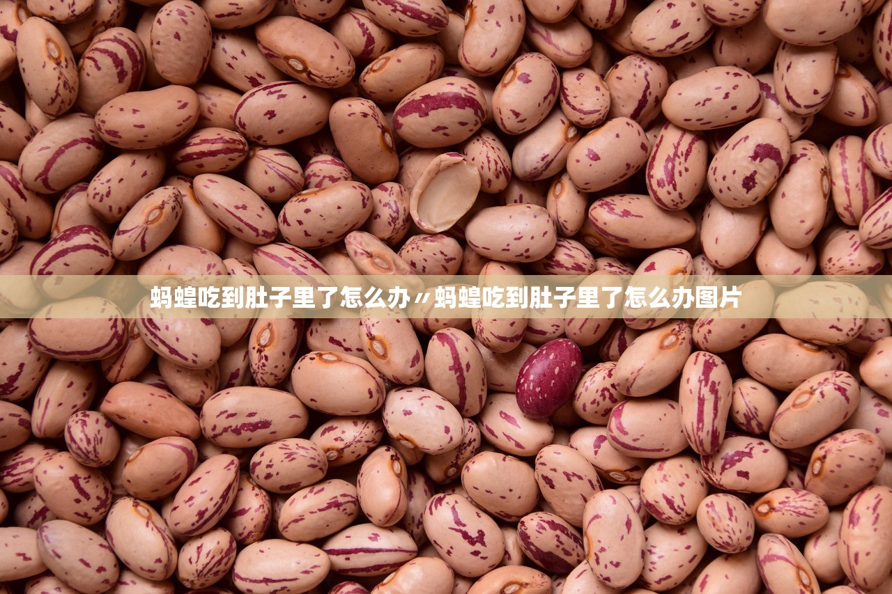 蚂蝗吃到肚子里了怎么办〃蚂蝗吃到肚子里了怎么办图片